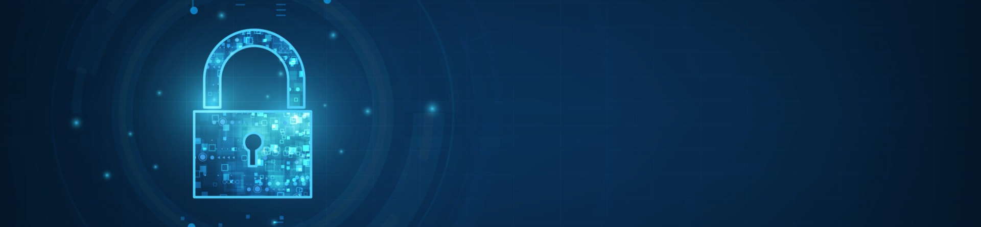 Secțiunea - Securitatea informațională, pentru pagina servicii