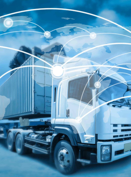 Pașii esențiali în procesul de import-export